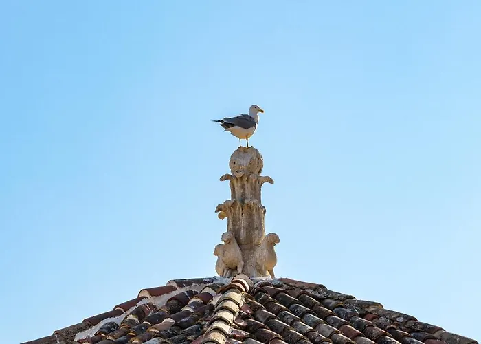 Apartman Penthouse Matkovic